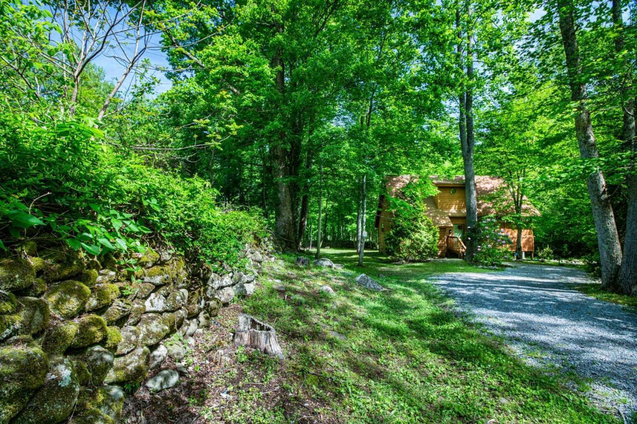 Bear Footin' On The Creek Villa Гетлинбург Екстериор снимка