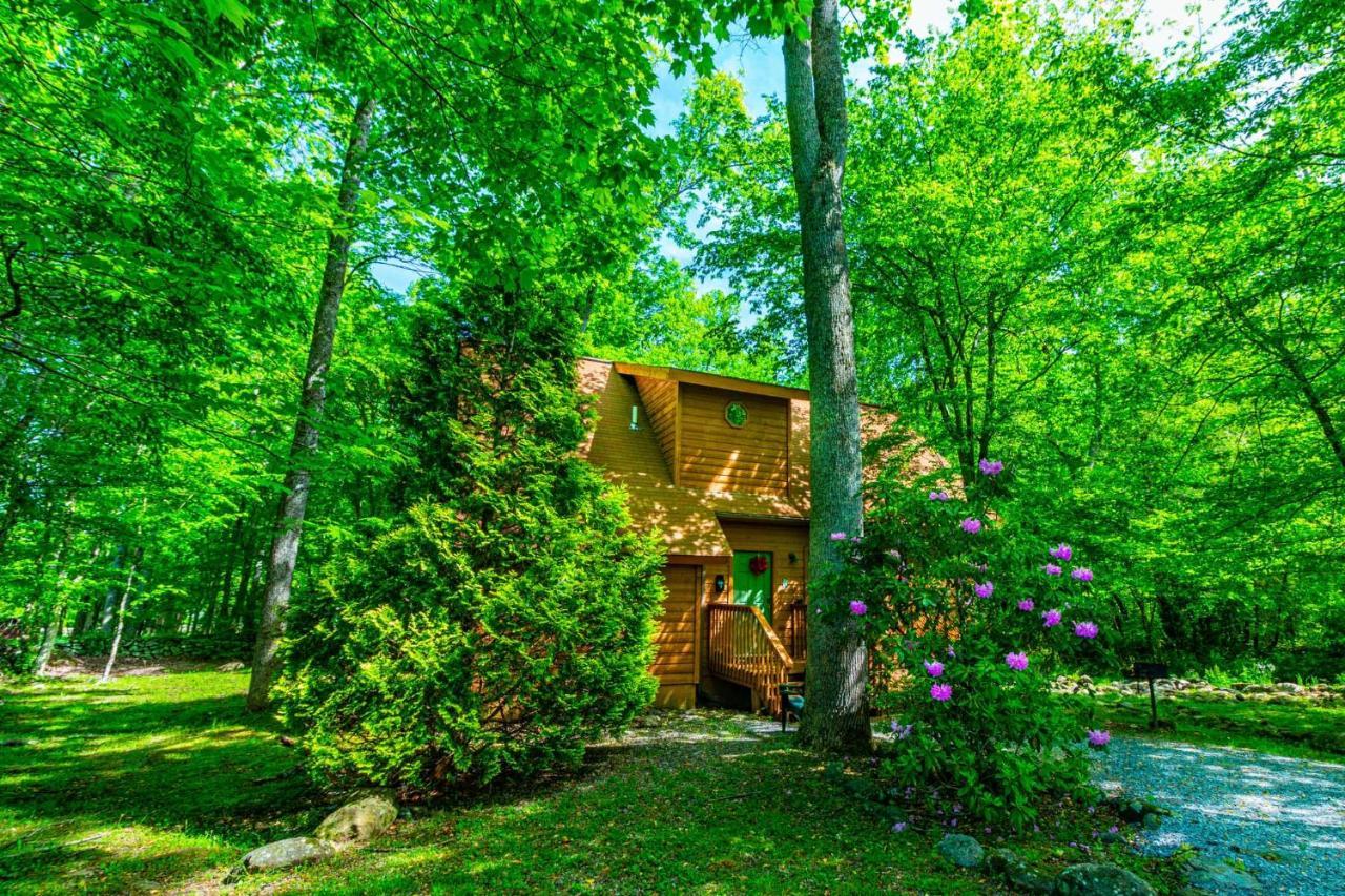 Bear Footin' On The Creek Villa Гетлинбург Екстериор снимка