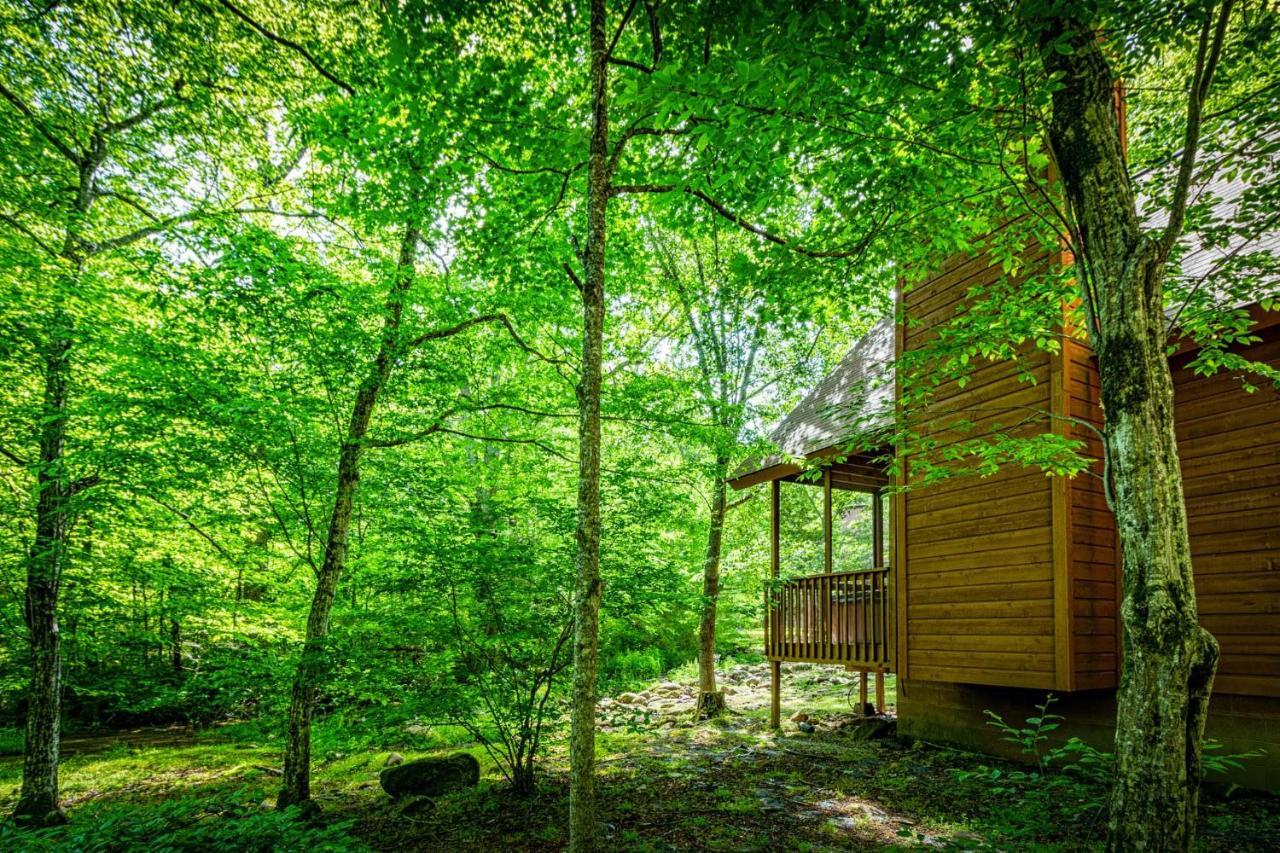 Bear Footin' On The Creek Villa Гетлинбург Екстериор снимка