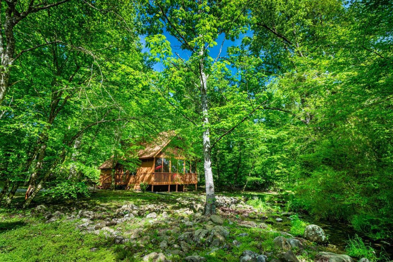 Bear Footin' On The Creek Villa Гетлинбург Екстериор снимка